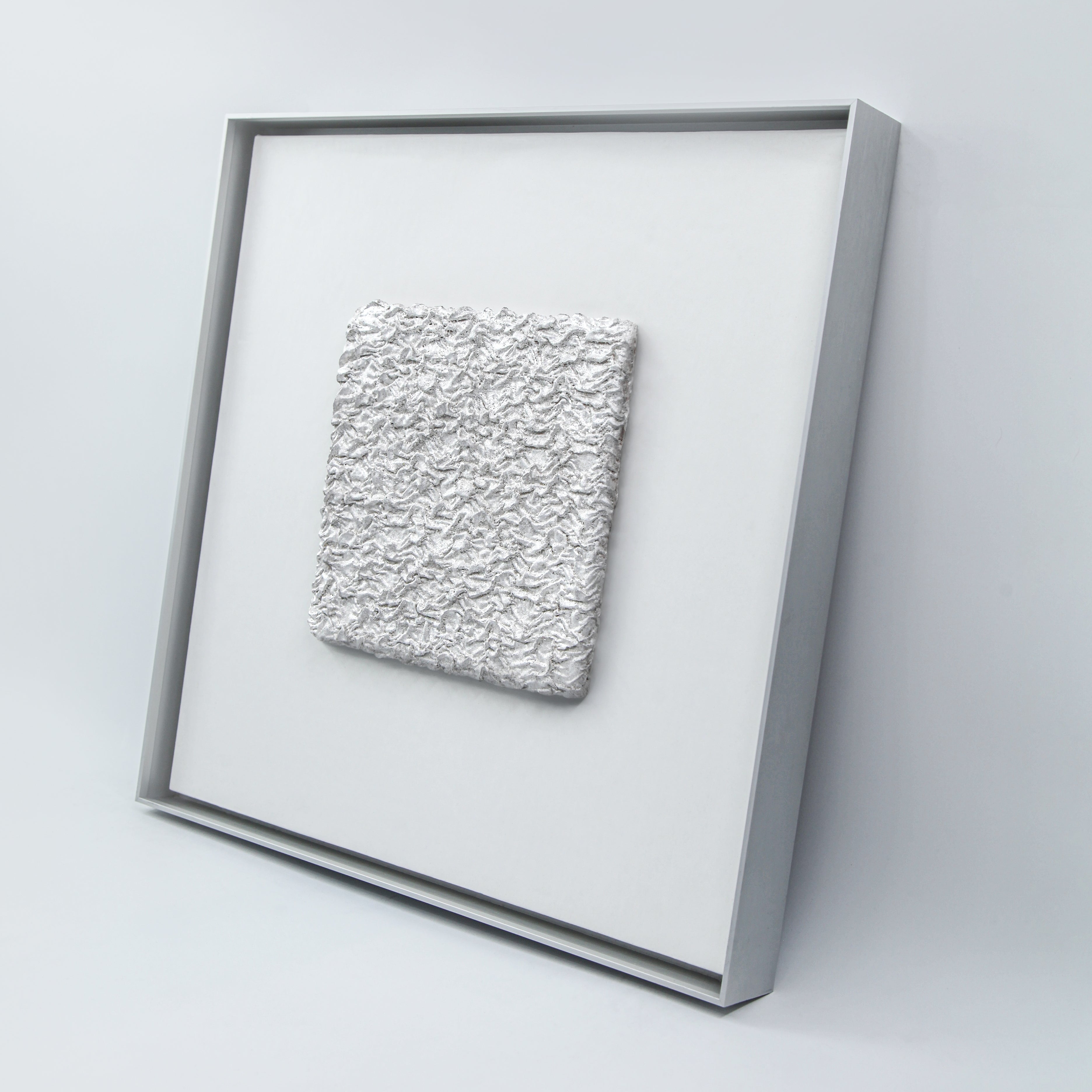 Silver Waves Reflecting the Moon