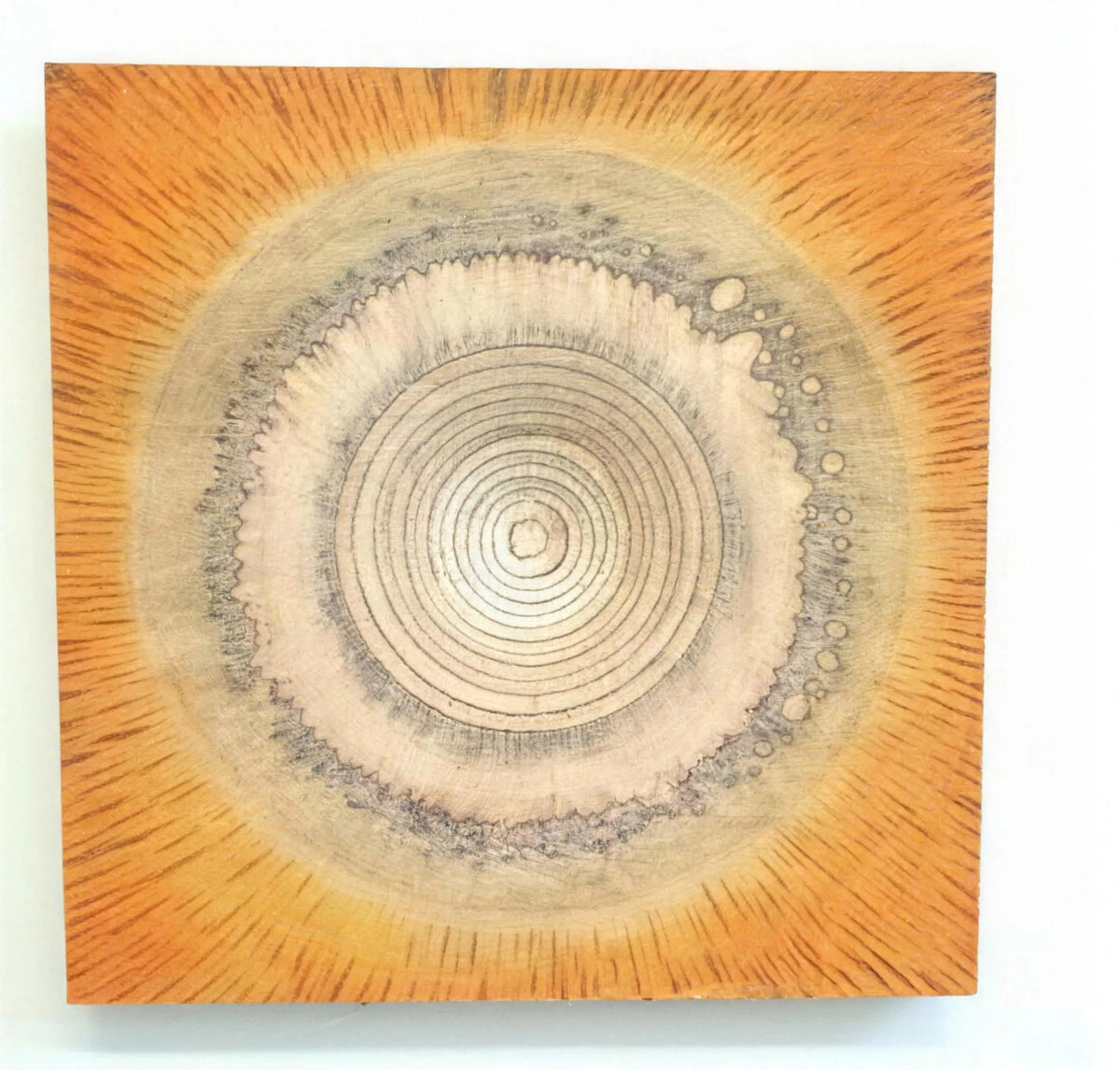 Carved Ember by Neeve Moule Drige — main artwork image