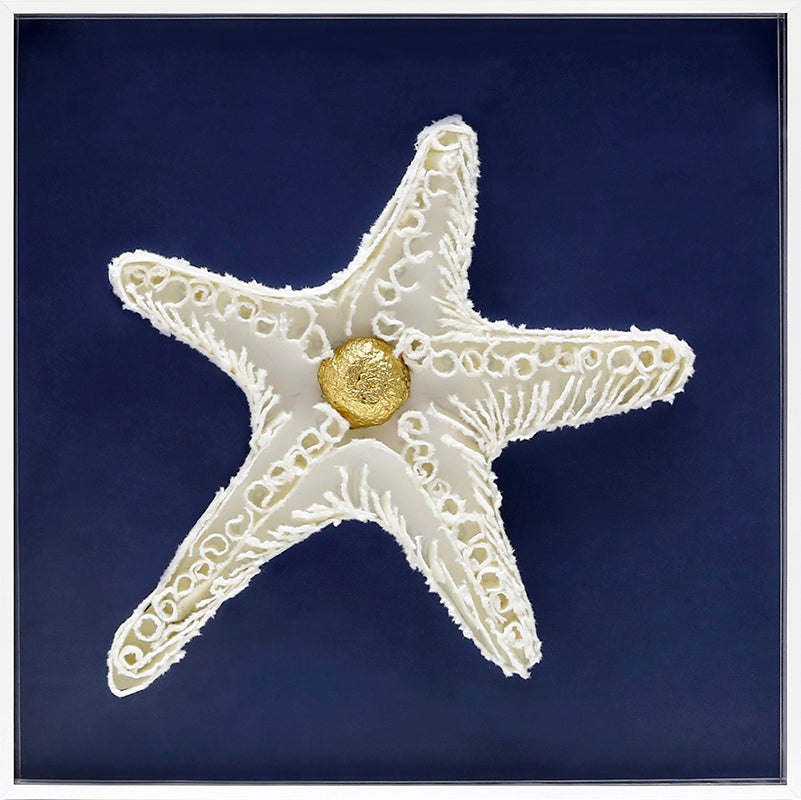 AzureTide Starlight