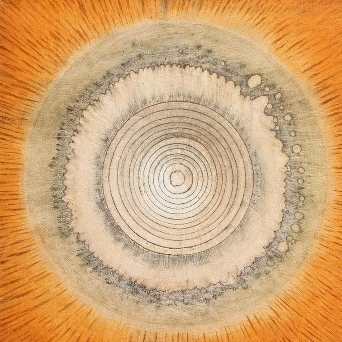Carved Ember by Neeve Moule Drige — artwork detail
